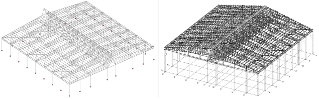 Old roof structure