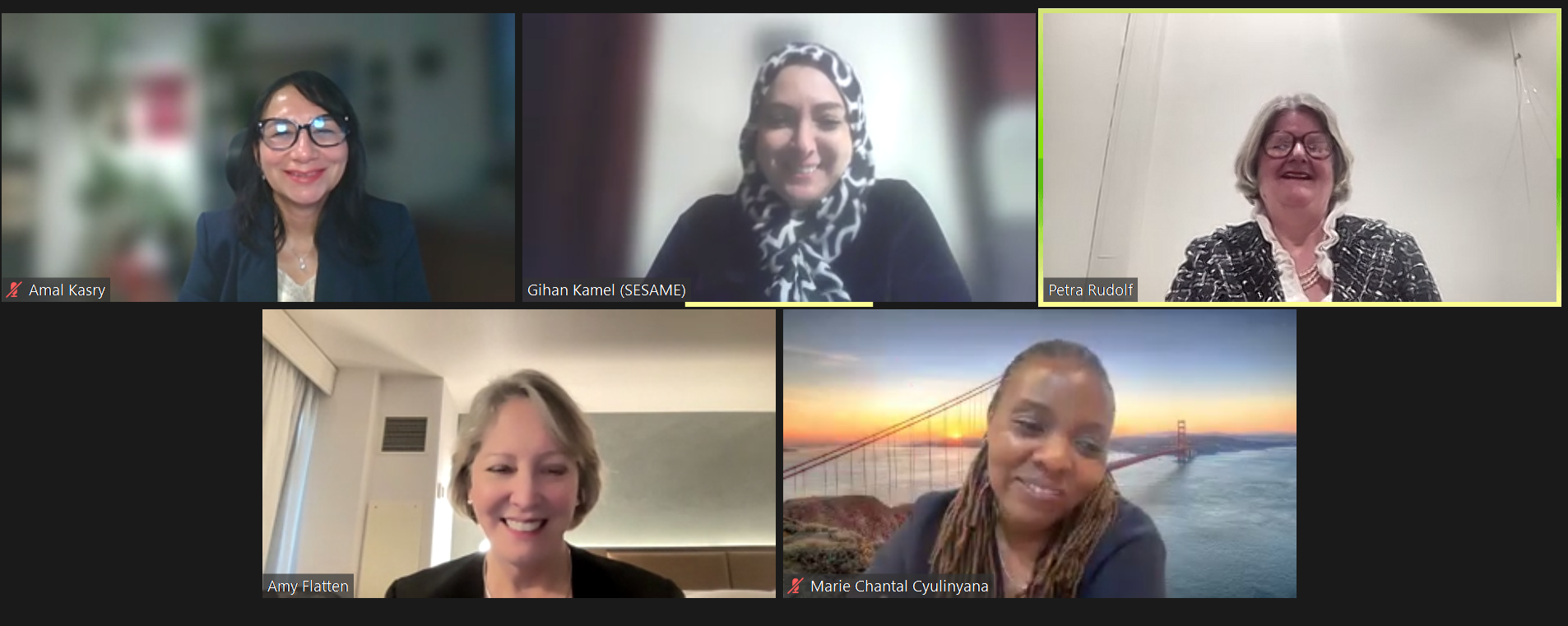 © SESAME 2026 Screenshot taken during the on-line session.